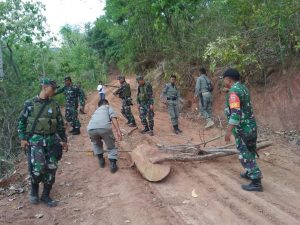 Aparat Gabungan Amankan Terduga Pelaku Ilegal Loging Saat Patroli Hutan
