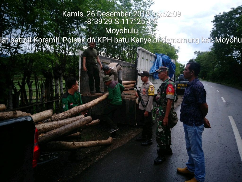 Patgab TNI, Polri dan KPH Batu Lante Kembali Amankan 66 Batang Kayu Jati