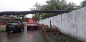 Kantor Imigrasi Bima Tertimpa Pohon. BMKG Himbau Cuaca Ekstrem.