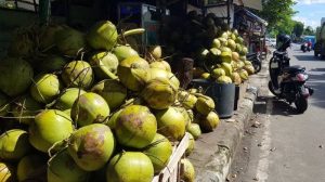 Pemda Akan Tertibkan Lapak Sepanjang Pantai Panda di Bima.