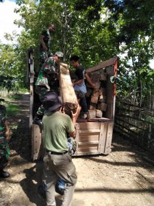 Anggota Kodim Bima Amankan Puluhan Batang Kayu Ilegaloging di Madapangga Bima.