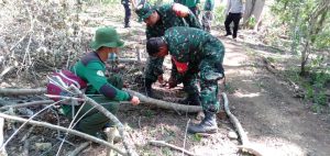 Patroli Gabungan TNI, Polri dan BKPH  Salah Satu Upaya Selamat Hutan