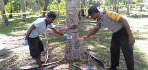 Gara-gara Naik Kelapa, Warga Kecamatan Kilo Ditikam Hingga Terbunuh.
