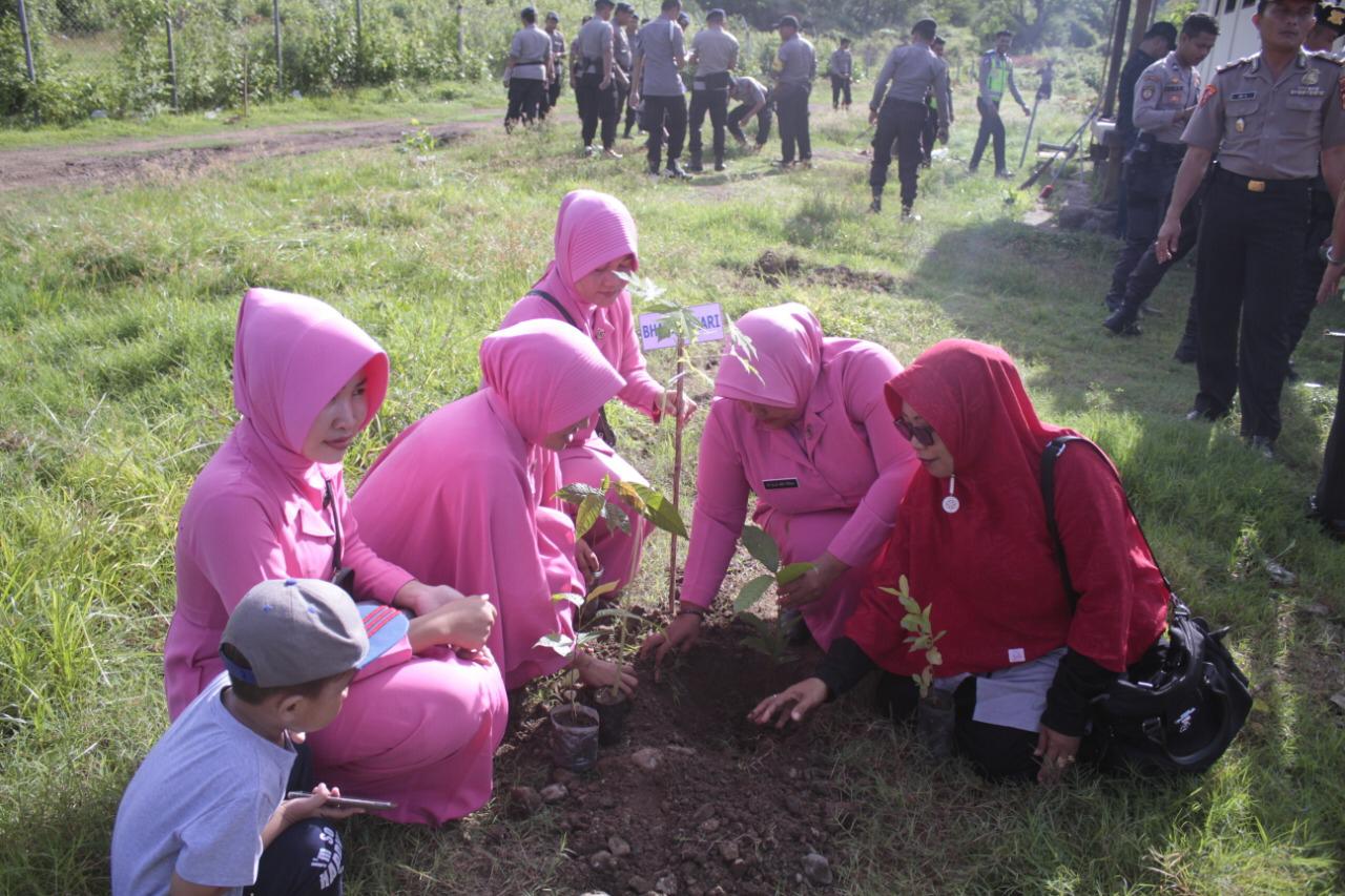 WhatsApp-Image-2020-01-11-at-17.11.46