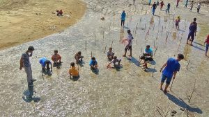 Peduli Lingkunga, Mahasiswa Kertasari Tanam Ratusan Bakau dan Terumbu Karang.