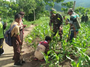 Seribu Bibit Pohon Ditanam Kodim Dompu Untuk Rehabilitasi Hutan dan Lahan
