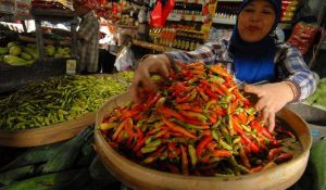 Harga Enam Jenis Bahan Pokok di Sumbawa Barat Naik Signifikan.