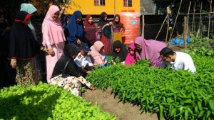 Tingkatkan Ekonomi Kelurga Melalui Kelompok Wanita Tani
