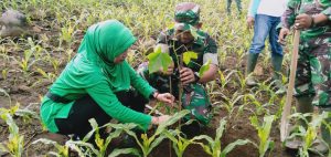 Lestarikan Alam, Kodim Sumbawa Puluhan Ribu Pohon