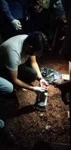 Bekuk Empat Terduga, Polres Dompu Kembali Amankan 96,82 Gram Sabu-sabu