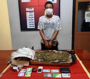 Terima Paket Berisi Ganja 1,49 Kg dari Medan, Pria di Kota Bima Diringkus Polisi