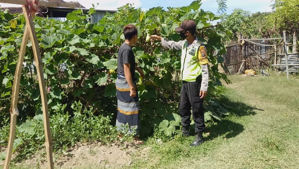 Bhabinkamtibmas Desa Beru Tingkatkan Ketahanan Pangan di Masa Covid-19 Melalui Sosialisasi Menuju Kampung Sehat