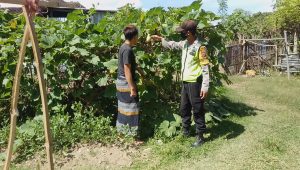 Bhabinkamtibmas Desa Beru Tingkatkan Ketahanan Pangan di Masa Covid-19 Melalui Sosialisasi Menuju Kampung Sehat