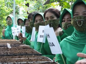 Perkuat Ketahanan Pangan Ditengah Pandemi Covi-19 Persit KCK Cabang XXX Lakukan Penanaman Bibit Tanaman Holtikultura