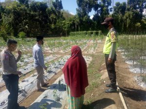 Perkuat Ketahanan Pangan, Bhabinkamtibmas dan KBO Lantas Sosialisasi Langsung di Lokasi Pertanian Warga