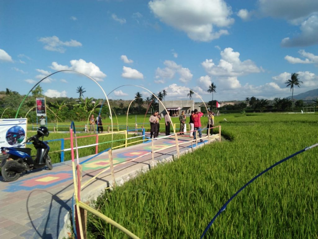 Kelurahan Samapuin Menuju Lingkungan Sehat, Asri, dan Mandiri Melalui “Lingkungan Maras”