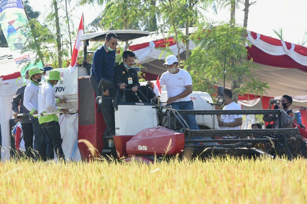 Panen Raya di Loteng, Mentan Bertekad akan Terus Perkuat Pertanian di Provinsi NTB