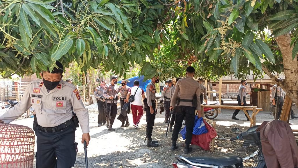 Polres Sumbawa Gerebek Dua Lokasi Judi Sabung Ayam