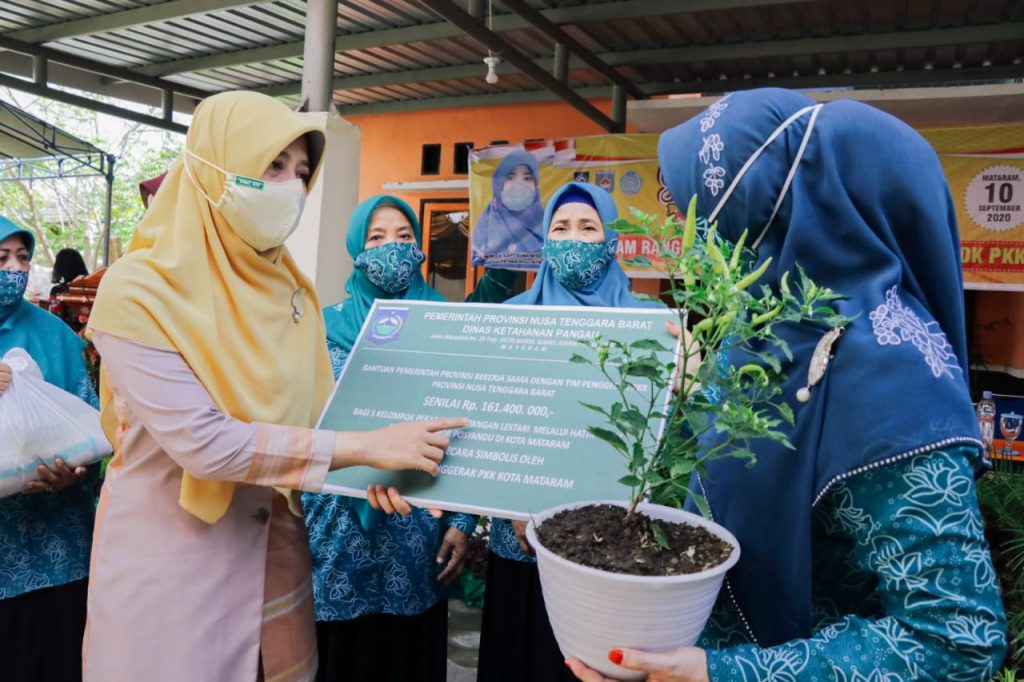 Sambil Bina Program Pokok PPK Kabupaten/Kota, Bunda Niken Tekankan Penggunaan Masker