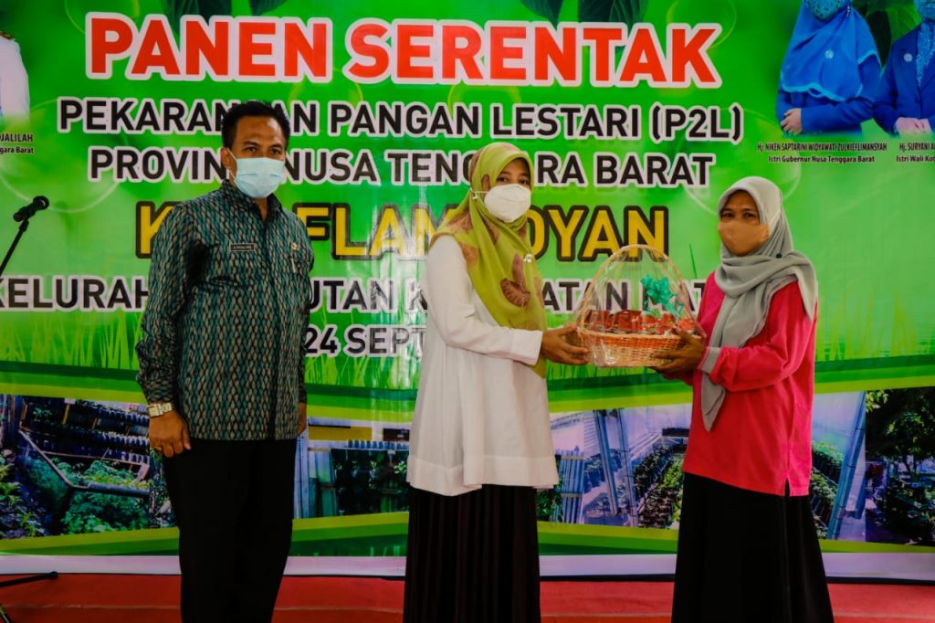 Kelompok Wanita Tani Didorong Tetap Produktif di Masa Pandemi