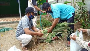 Ciptakan Kampung Sehat Yang Produktif Melalui Budidaya Tanaman Obat-obatan di Sekotong