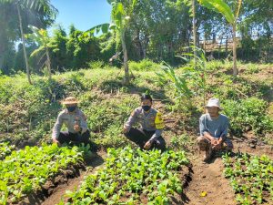 Seorang Kapolsek di Dompu Suntik Semangat Warga Untuk Berinovasi Penuhi Kebutuhan Pangan di Tengah Covid-19