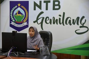 Hadapi Covid-19, Wagub Ajak Milenial Jeli Melihat Peluang