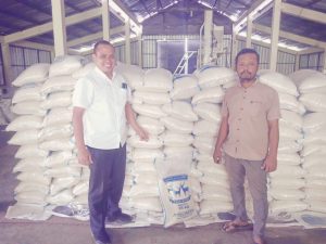 BUMDes Kemuning Bantu Petani Kecamatan Sekongkang Tingkatkan Produksi Gabah