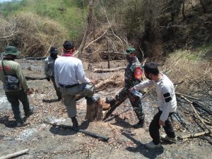 Lindungi Kawasan Hutan Sumbawa, Babinsa Bersama Babinkamtibmas Dan KPH Patroli Gabungan