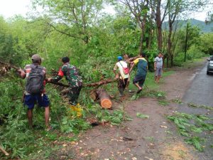 Hujan Lebat Disertai Angin Kencang, Anggota Koramil Moyo Hulu Sigap Bantu Warga