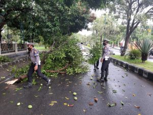 Hujan Deras dan Angin Kencang, Sat Lantas Polres Sumbawa Bersihkan Jalan Dari Ranting Patah