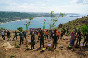 Korem 162/WB Gelar Penanaman Pohon, Donor Darah dan Pembagian Sembako di KEK Mandalika