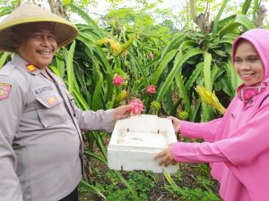Polisi Ini Manfaatkan Lahan Kosong Untuk Kebun Buah Naga, Hingga Dapat Bantu Biaya Sekolah Anak