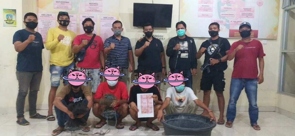 Manfaatkan Situasi Lengah dan Curi Ratusan Udang di Tambak Poto Tano, 4 Pemuda Diamankan