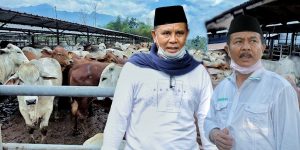 Jarot-Mokhlis Usung Kembali Sumbawa Sebagai Sentra Sapi