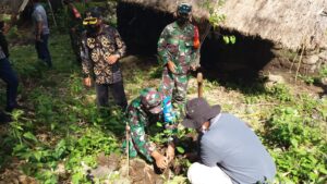 Forkopimca Sembalun Manfaatkan Musim Hujan Untuk Reboisasi