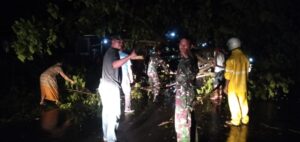 Dandim 1628/SB Bantu Bersihkan Pohon Tumbang Di Jalan Lintas Sumbawa Bima Di Kecamatan Empang