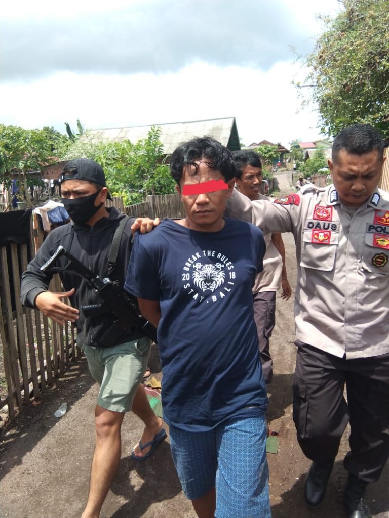 Diduga mencuri dua ekor sapi, TF diringkus Anggota Polsek Manggelewa