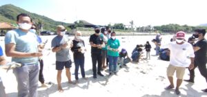 PT AMNT Lepas 77 Ekor Tukik Atau Bayi Penyu di Pantai Tropica