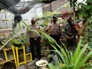 Kasat Binmas Polres Sumbawa Tinjau Ketahanan Pangan Kelurahan Samapuin