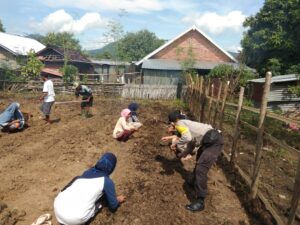 Kebun Gizi Desa Pernek, Bentuk Ketahanan Pangan Mendukung Kampung Sehat NTB Jilid 2