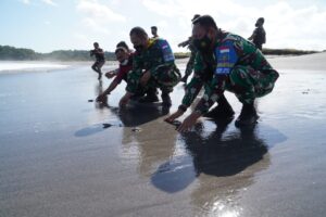 Lestarikan Penyu di NTB, Danrem 162/WB Lepas Tukik di Pantai Sepang Desa Talonang