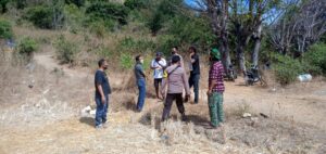 Polisi Bubarkan Judi Sabung Ayam di Plampang, Para Pelaku Dikejar dan Lari Kocar-kacir ke Sawah