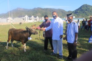 Kodim 1628/Sumbawa Barat Berqur’ban 4 Ekor Sapi dan 13 Kambing