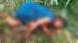 Nenek 60 Tahun Ditemukan Tewas di Kebun Jagung, Kondisinya Mengenaskan