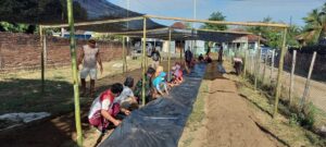 Bhabinkamtibmas Desa Dasan Anyar Sumbawa Barat Ikut Gotong Royong Persiapan Tabur Bibit Sayur
