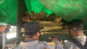 Polsek Pelabuhan Tano Amankan Belasan Kubik Kayu Illegal