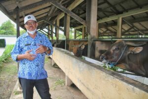 Balai Inseminasi Buatan Banyumulek, Penyumbang PAD Terbesar di NTB