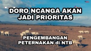 Investor Korea Berencana Bangun Investasi di Doro Ncanga