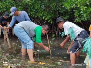 Peringati Hari Bumi Sedunia, WALHI NTB Tanam Bibit Mangrove di Jerowaru